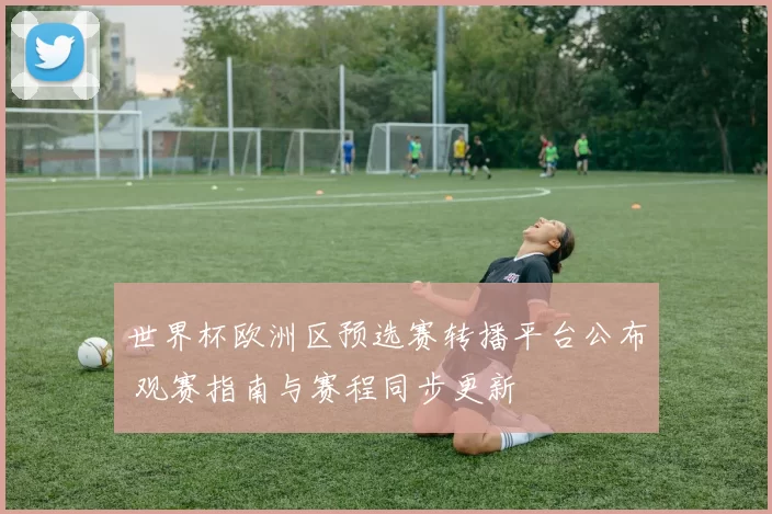世界杯欧洲区预选赛转播平台公布 观赛指南与赛程同步更新
